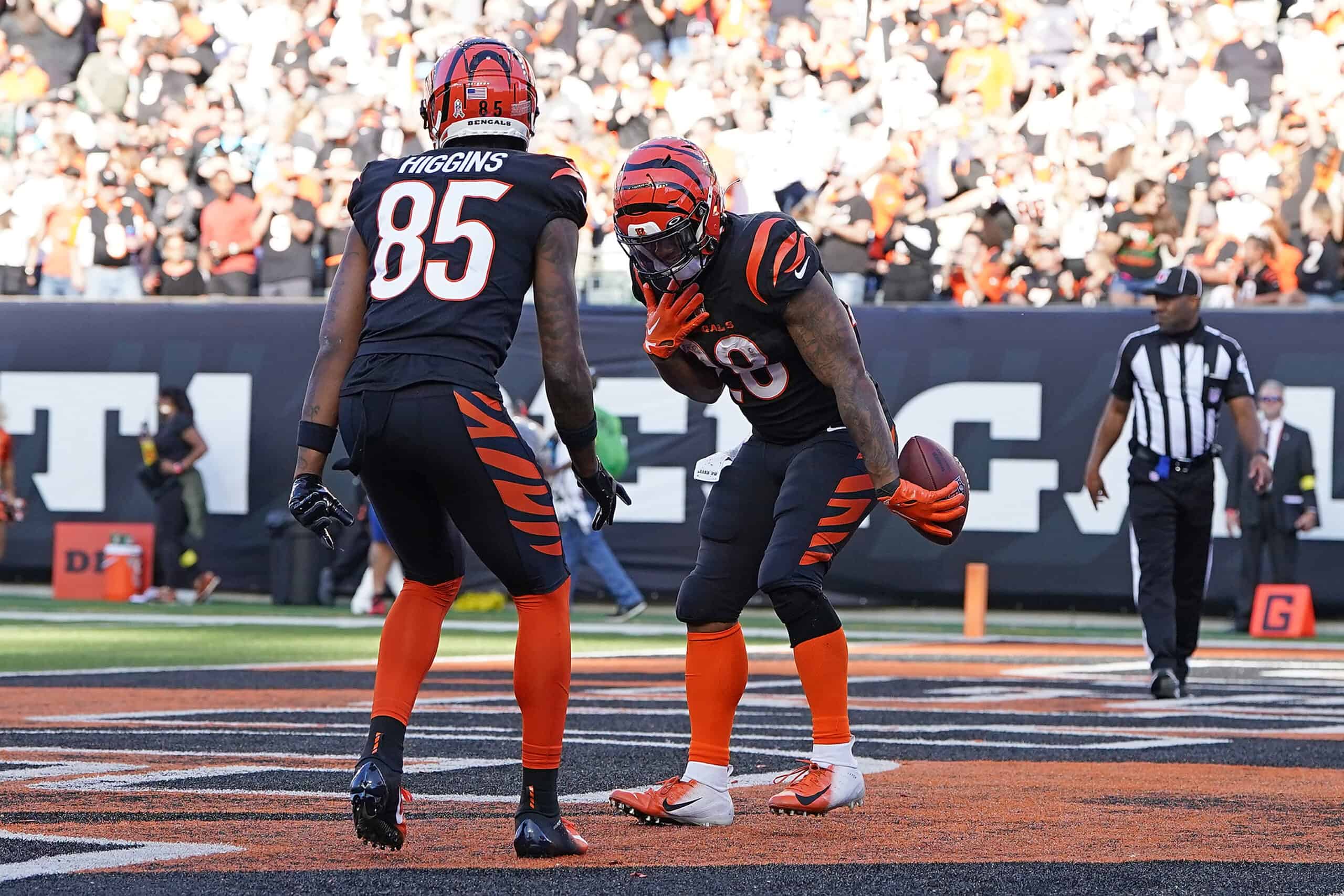 cincinnati bengals steelers game