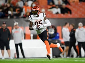 Tee Higgins