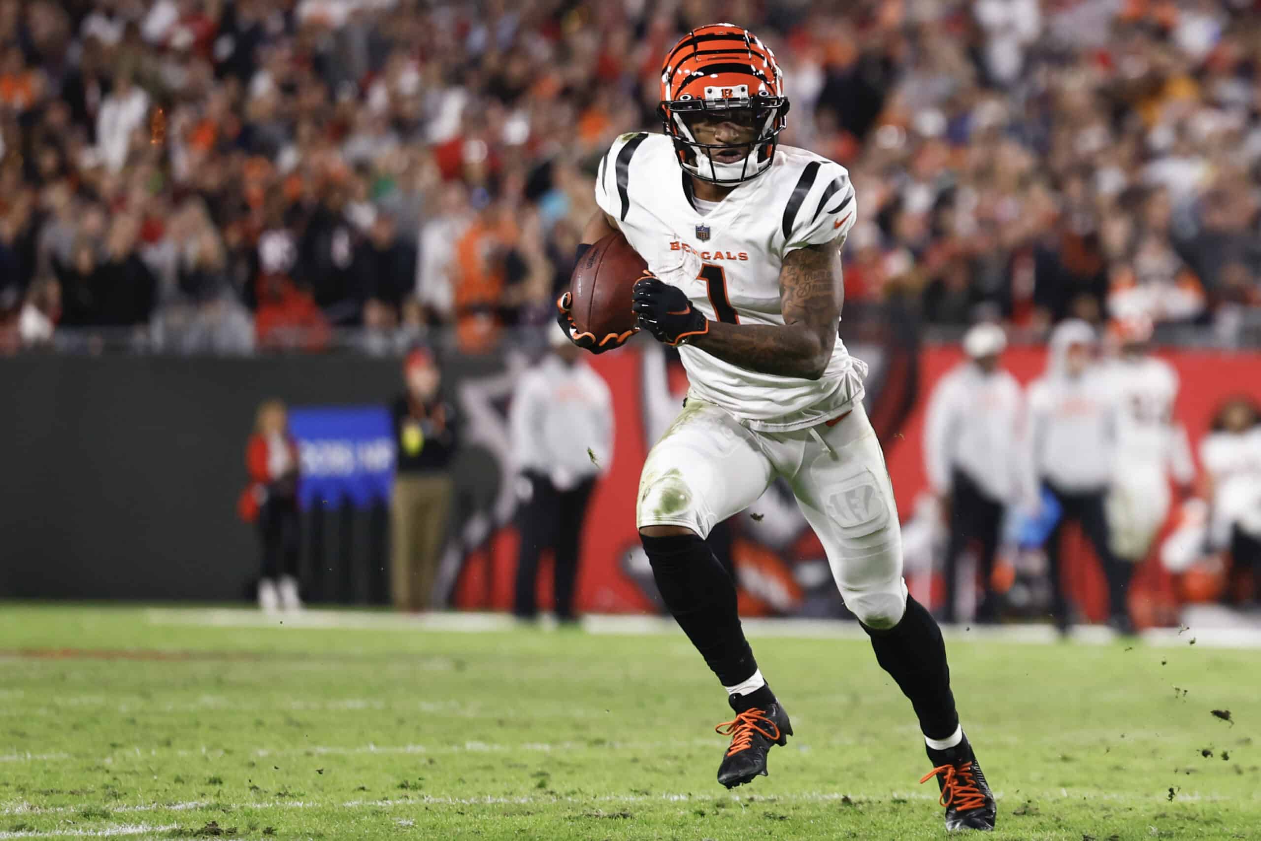 Bengals vs Patriots Fantasy Football Worksheet, Week 16