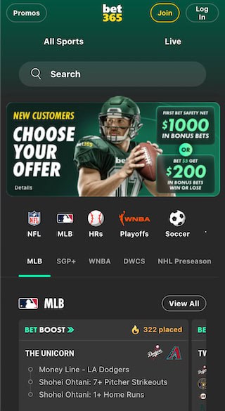 Bet365 app interface