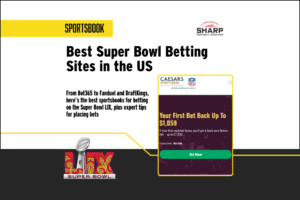 Super Bowl Betting Sites in the US 2925