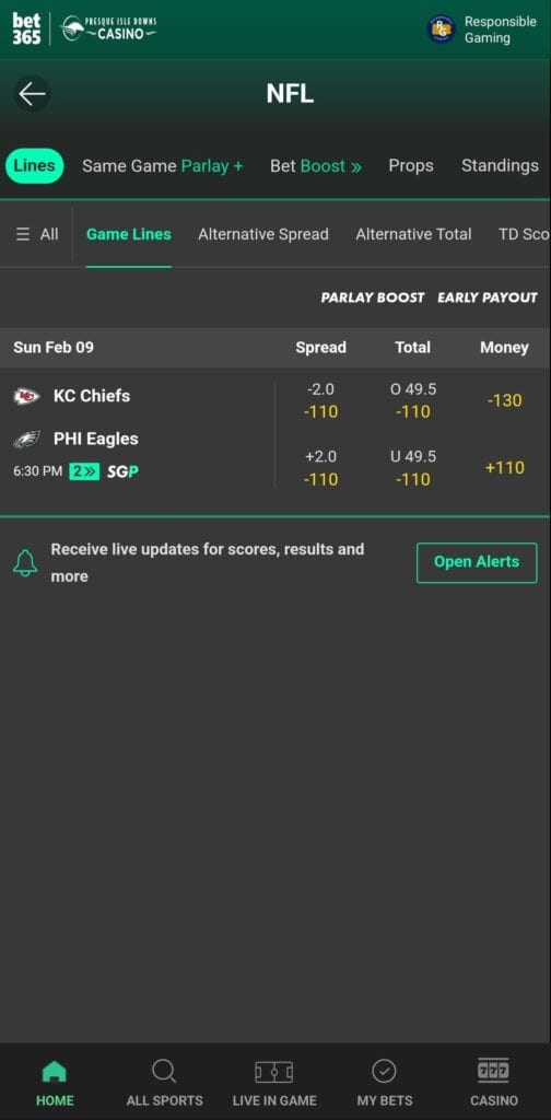 Super Bowl Preview