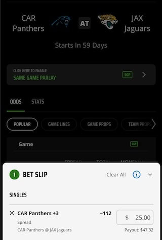 Carolina Panthers bet example at DraftKings NC